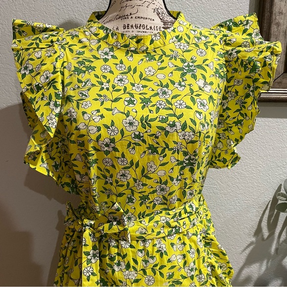 Banjanan Audrey Mini Dress - Picture 5 of 8